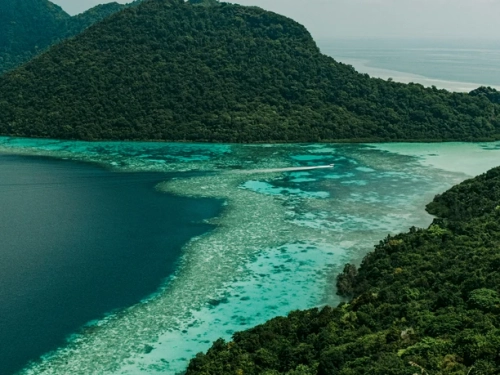Borneo